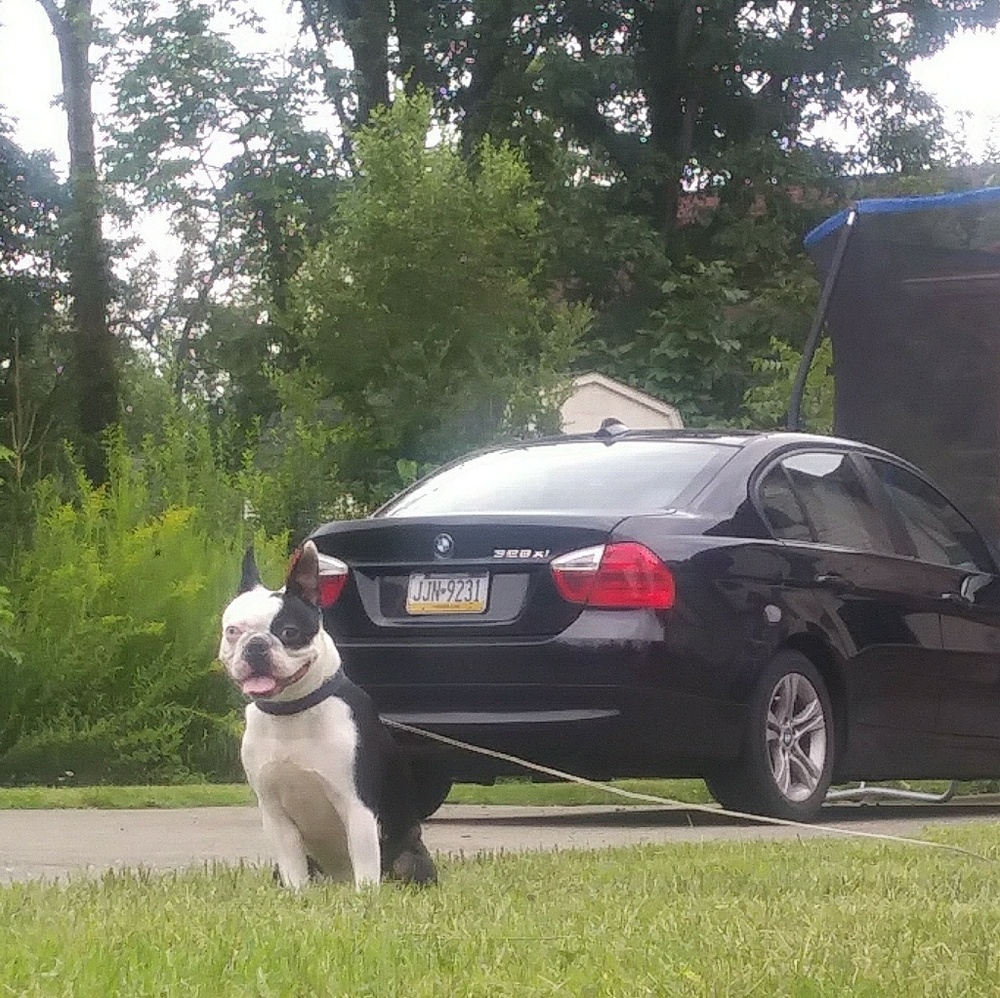 Meet your Posher, Joe